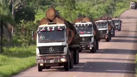 Tractocamión 6×4 para transporte de madera