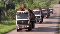 Tractocamión 6×4 para transporte de madera