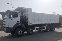 Camión volquete 8×4